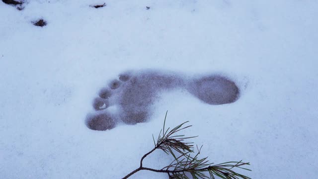 冬天雪地上赤脚的脚印视频下载