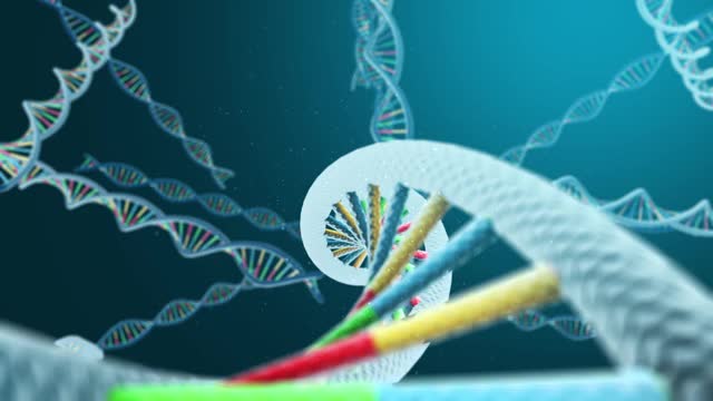 DNA海滩分子模型视频下载