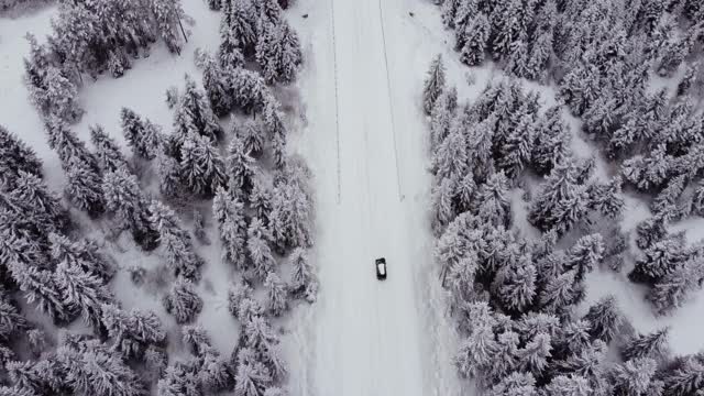 冬天福勒斯特和汽车鸟瞰图视频素材