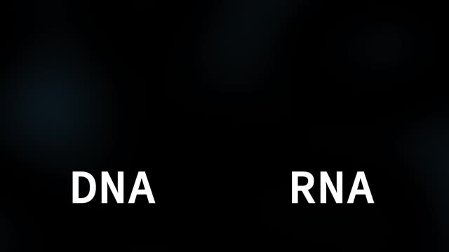 RNA和DNA链分子三维模型动画视频下载