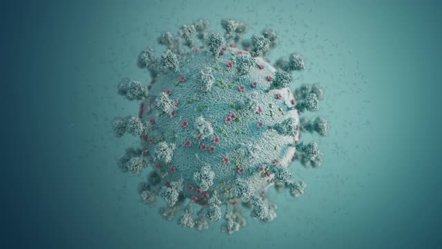 冠状病毒COVID-19结构的特写。视频下载