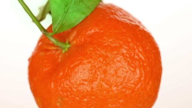 芳香的橘子，叶子和水滴在白色视频下载