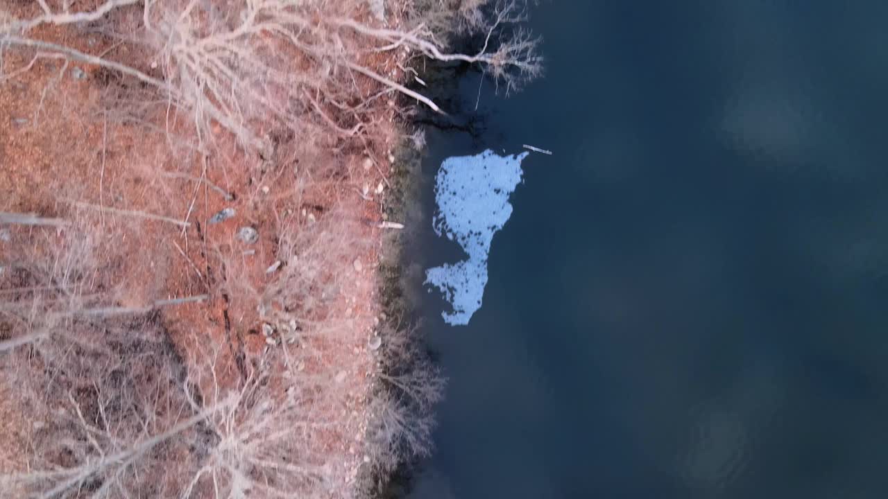 无人机高空拍摄的冬季湖岸视频素材
