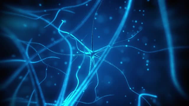 神经元医疗循环动画视频下载