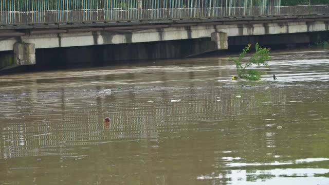 随着飓风风暴的到来，河水上涨过快，导致许多地区被淹视频素材