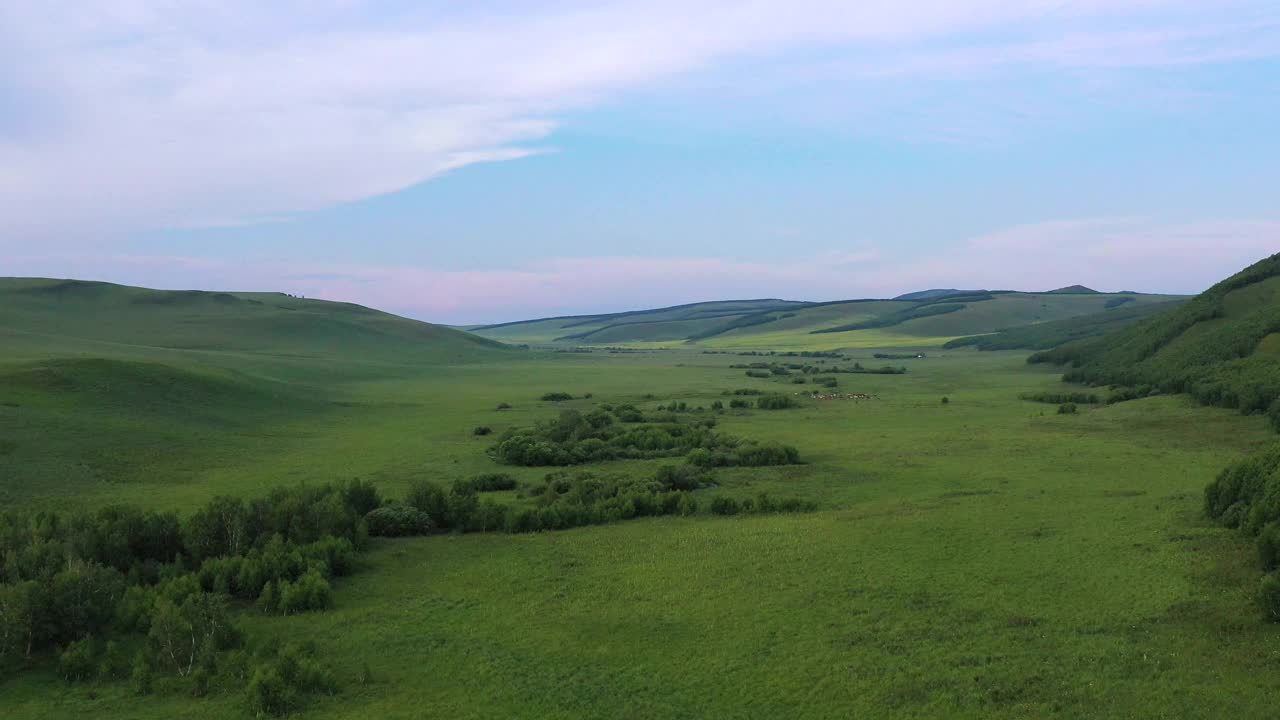 草原与动物/内蒙古，中国视频素材