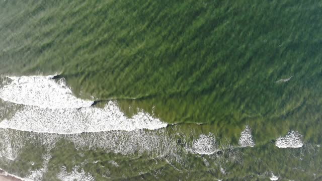 俄罗斯加里宁格勒的波罗的海视频素材