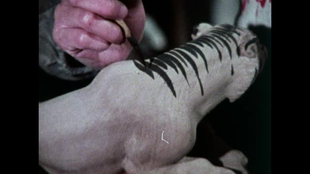 在烧制前，CU手在泥虎上画条纹;1973视频下载