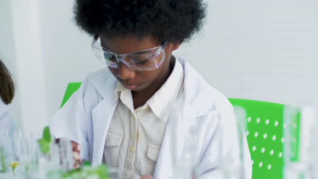 孩子们在教室的桌子上学习试管植物。视频下载
