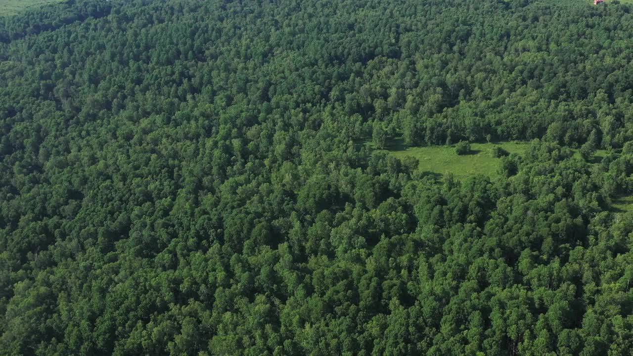 草原和森林树木/内蒙古，中国视频素材