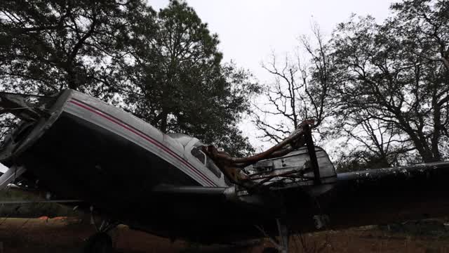阴天森林里被遗弃的小飞机视频下载