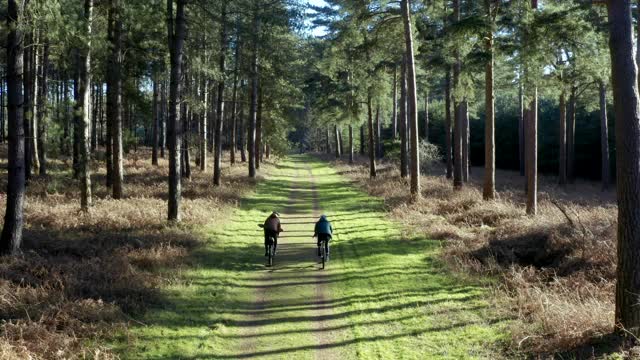 两名骑自行车的人在森林轨道上的无人机视图视频下载