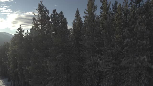 无人机起飞和飞行在落基山脉滑雪道上方视频素材
