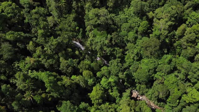 婆罗洲热带雨林和瀑布鸟瞰图视频素材