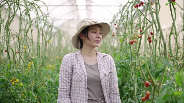 亚洲农民站在温室里，她拿着数码平板电脑，信心十足地看着相机。她有了新事业，而且乐在其中。视频素材