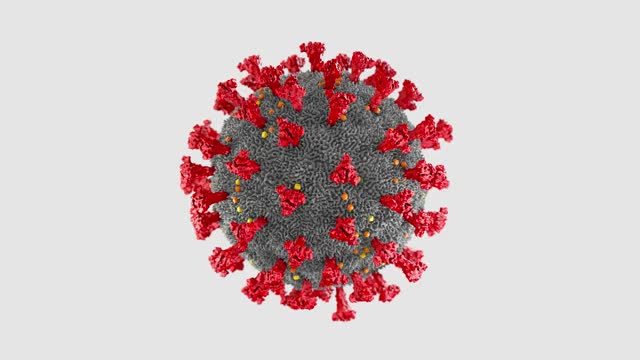 无尽的旋转的被包膜的冠状病毒灰色和其不同的蛋白质红色，黄色和橙色的动画- 3d插图视频素材