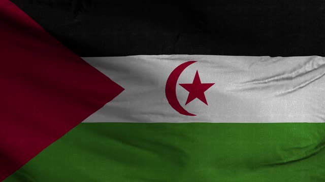 西撒哈拉旗帜纹理波浪背景4K视频下载