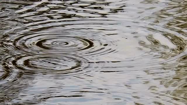 雨滴落在水面上。视频素材
