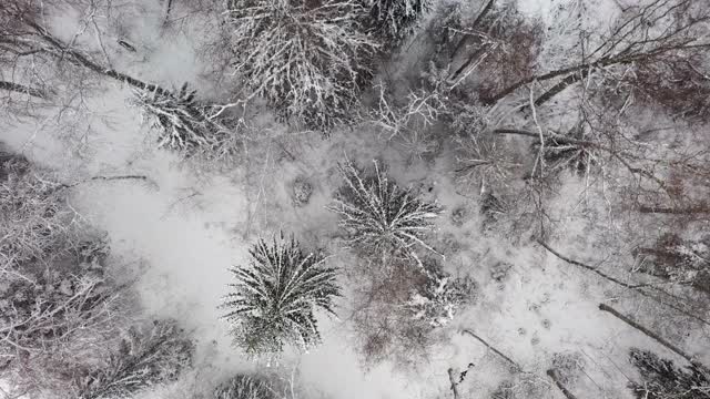 冬季空中景观视频素材