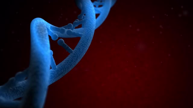 4K DNA结构-可循环视频下载
