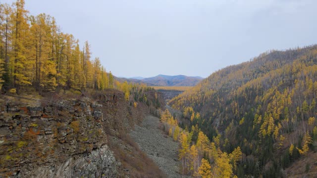 飞回崖边的一块巨石，秋日的森林，远处的山峰都看得见视频下载