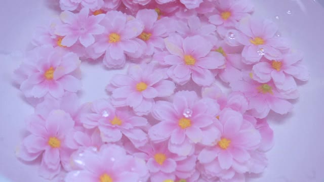 盘子里的花落在水上/韩国视频下载