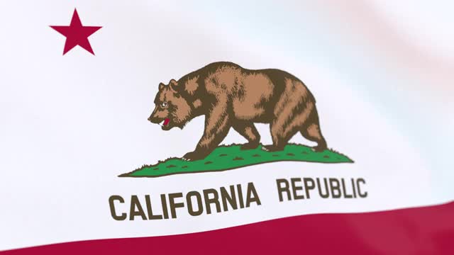 美国加州的国旗视频素材