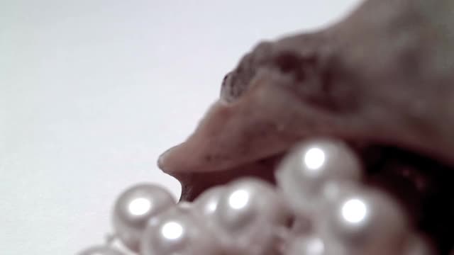 蚌壳中的天然珍珠特写。平滑运动和旋转视频下载