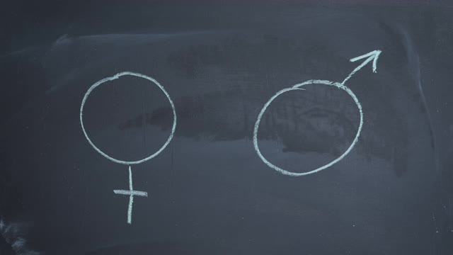 男孩和女孩平等。视频下载