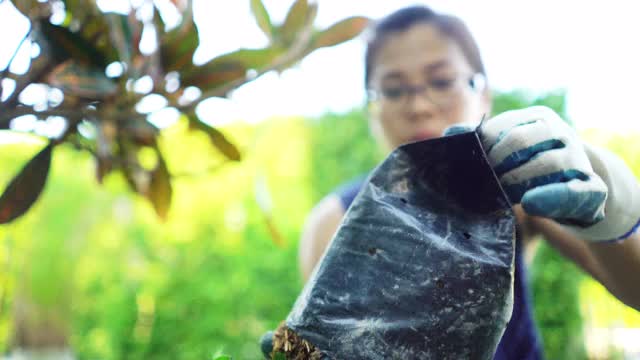 在自家前院种花的亚洲妇女视频下载