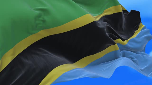 无缝环坦桑尼亚国旗。视频下载
