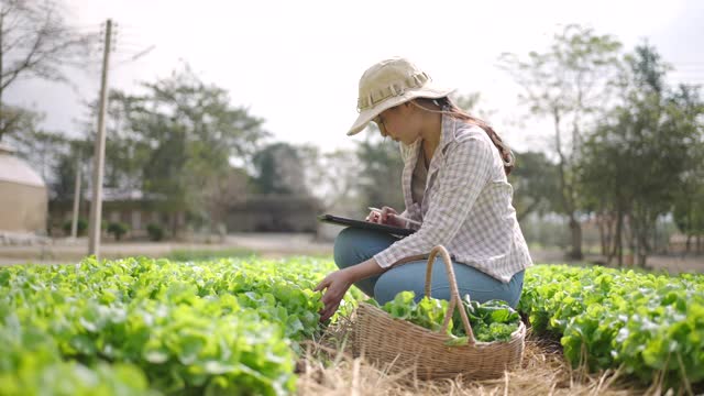 农民使用数字平板电脑在她的农场视频素材