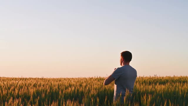 黎明时分，一个男人站在草地上做瑜伽。视频素材