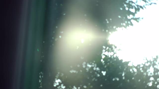 阳光照在家里窗户上视频素材