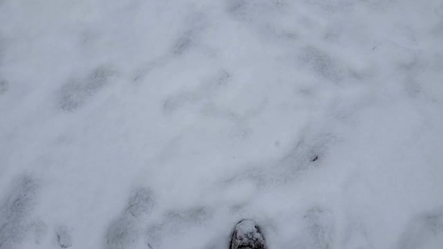 POV的脚踩在雪的慢动作视频素材