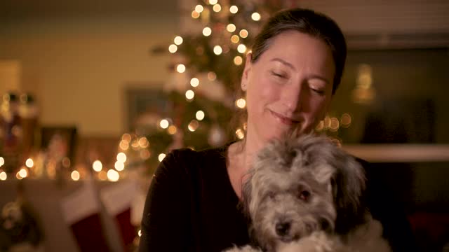 女人、狗和圣诞树的肖像视频素材