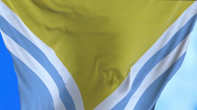 无缝环图瓦共和国国旗。视频下载
