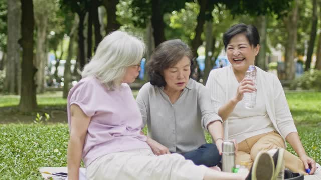 老年中国朋友在公园里享受春天视频素材