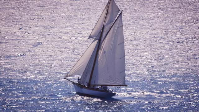 一艘帆船在波光粼粼的水面上行驶视频下载