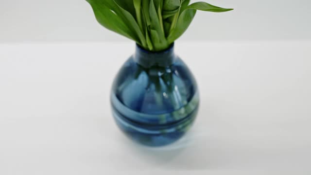 相机倾斜在一个蓝色花瓶上，花瓶上有一束黄色和白色的郁金香视频下载