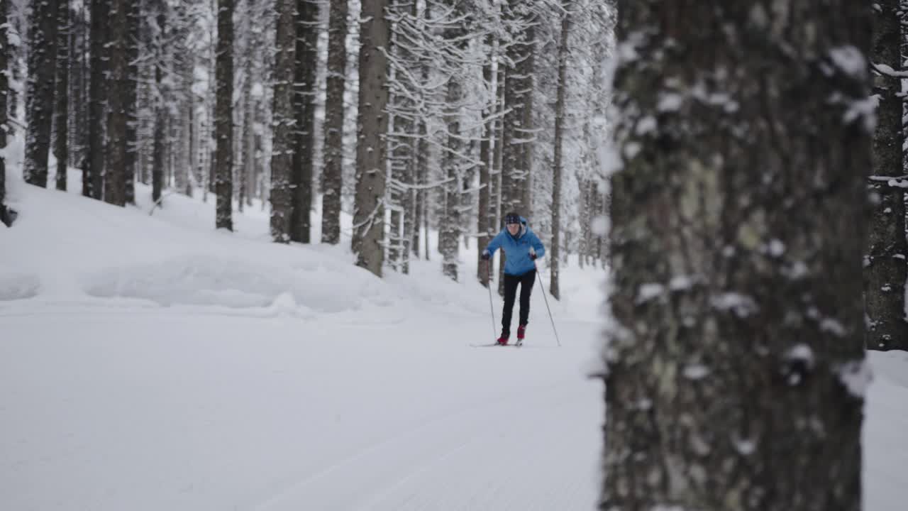 职业运动员，越野滑雪运动员，在冰雪覆盖的冰冻森林中滑行视频素材