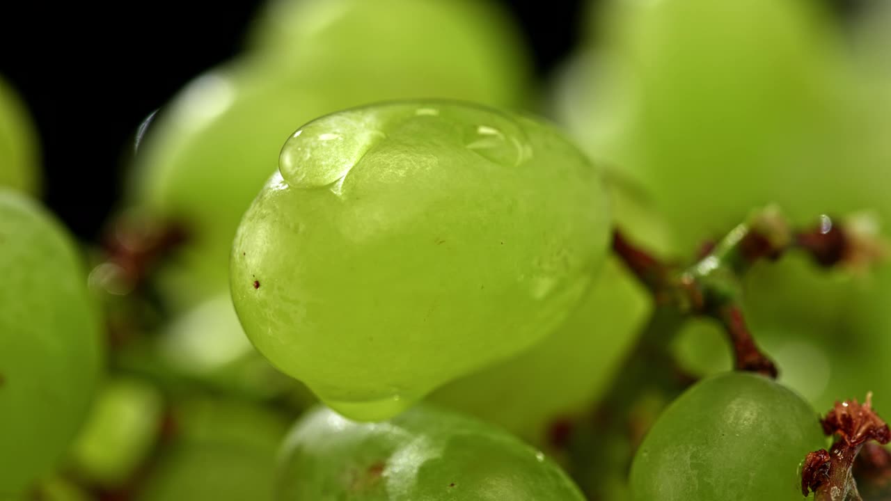 水滴从白色的葡萄浆果上落下视频素材