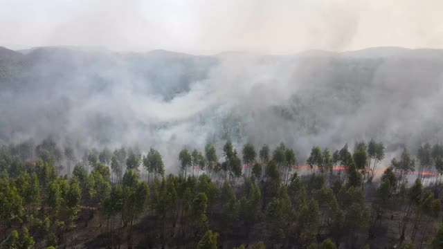 鸟瞰图泛森林大火(野火)燃烧、冒烟和造成空气污染视频下载