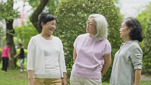 退休的中国妇女在公园里享受春节视频素材