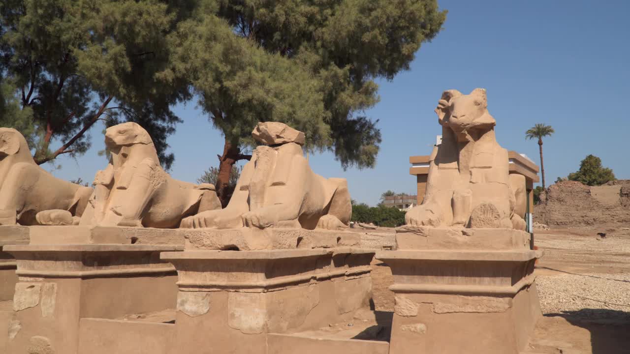 狮身人面像大道和公羊头。卡纳克神庙视频素材