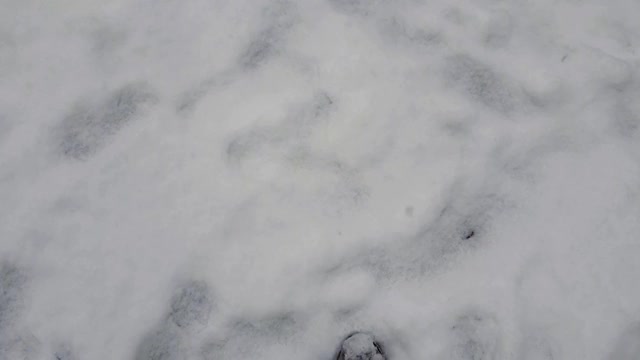 POV女子脚踩雪的慢动作视频素材