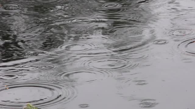雨滴的背景。视频素材