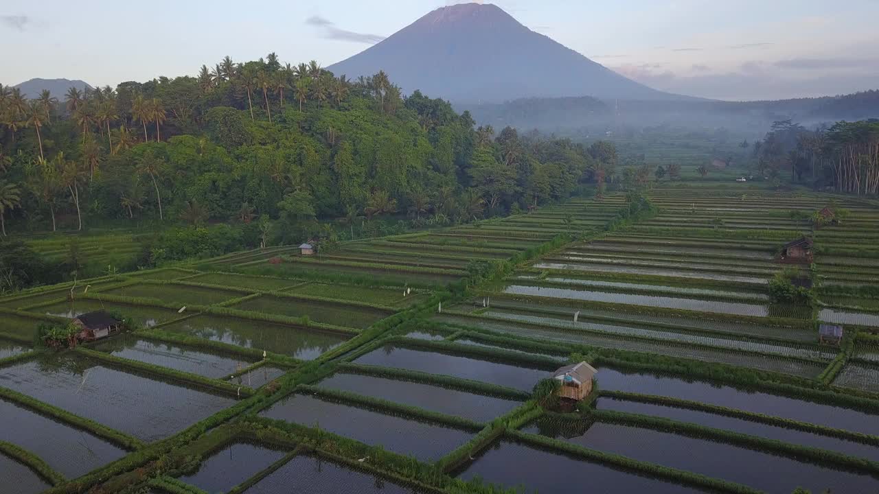 田野和稻田与山/巴厘岛，印度尼西亚视频下载