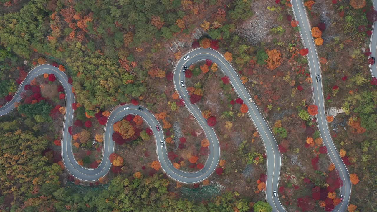 韩国忠清北道丹阳枪秋季Bobaljae Pass (Famus上坡路)驾驶课程视频下载