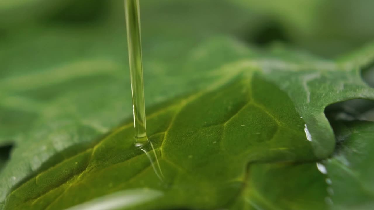 慢镜头中，橄榄油流淌在沙拉中的新鲜菠菜叶子上视频素材